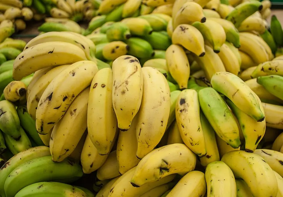 Banán